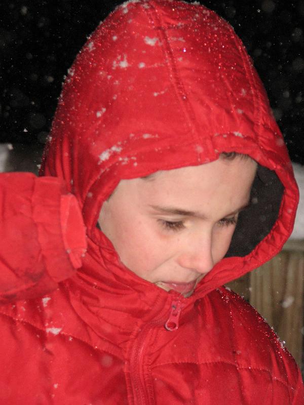2008-12-20_Snow_Storm 067.jpg